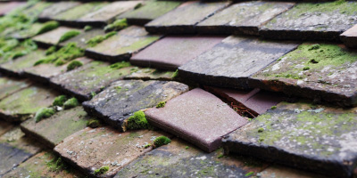 Llanrhystud roof repair costs